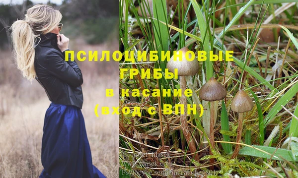 твердый Абинск